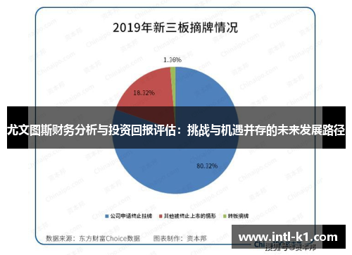 尤文图斯财务分析与投资回报评估：挑战与机遇并存的未来发展路径