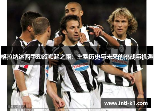 格拉纳达西甲劲旅崛起之路:重塑历史与未来的挑战与机遇 格拉纳达西甲劲旅崛起之路:重塑历史与未来的挑战与机遇